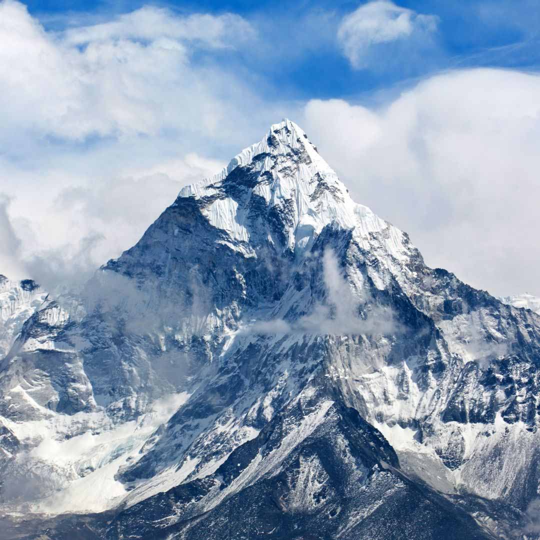 Organic Kashmir, Kashmiri Shilajit, AyurvedaStoreNz